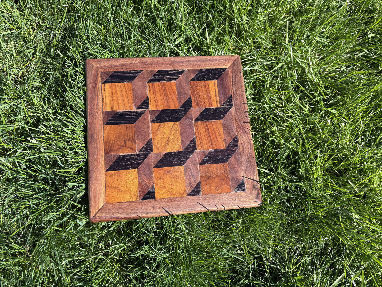 3D Tray