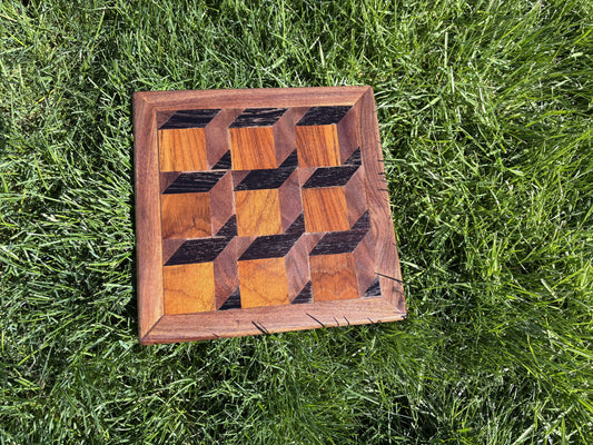 3D Tray
